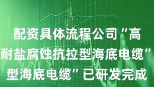 配资具体流程公司“高传输容量耐盐腐蚀抗拉型海底电缆”已研发完成