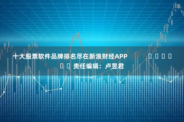 十大股票软件品牌排名尽在新浪财经APP            						责任编辑：卢昱君
